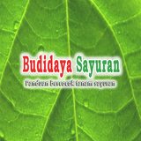 Hortikultura Budidaya Sayuran icône