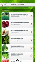 Hortikultura Budidaya Sayuran capture d'écran 1