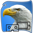 eagle SURVIVAL vr SIM иконка