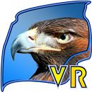 VR raptors (Unreleased) APK