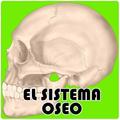 El Sistema Oseo