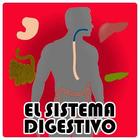 El Sistema Digestivo icône