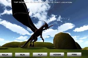 Pet Dragon پوسٹر