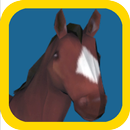 Pet Horse APK