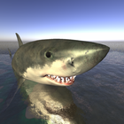 Shark Bite Aquarium 아이콘