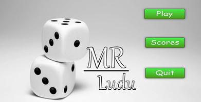 MR Ludu Ekran Görüntüsü 1