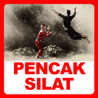 Belajar Pencak Silat icône