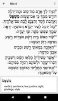 Hebrew Bible Reader स्क्रीनशॉट 3