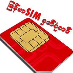 MM-SIM