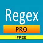 Regex Pro Quick Guide Free icône
