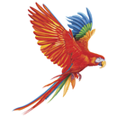 APK Maui Jim Trade Account Catalog