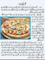 Desi Special Khanay Urdu imagem de tela 2