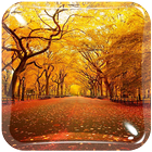 MM Autumn Live Wallpaper 아이콘