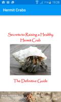 Healthy Hermit Crab capture d'écran 1