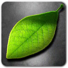 Descargar APK de Fresh Leaves