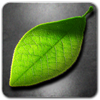 Fresh Leaves icono