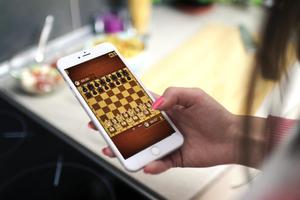 Chess - Titans 3D: jogo offline grátis imagem de tela 2