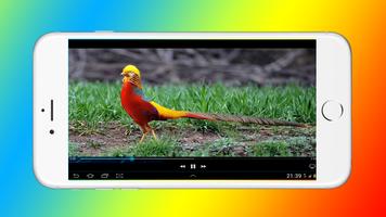 Full HD Video Player ภาพหน้าจอ 1