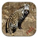 Civet Game Puzzle APK