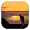 Kangaroo Game APK