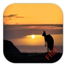 Kangaroo Game APK