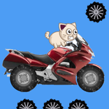 Moto Cat