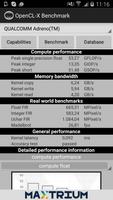 OpenCL-X benchmark Screenshot 2