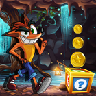 Super Bandicoot Adventure Crash icône