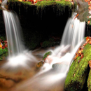 Beautiful Nature Wallpapers APK