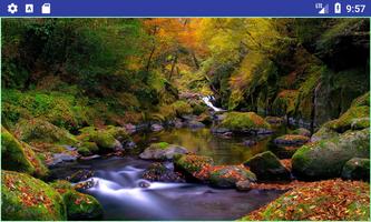 Best Nature Backgrounds Affiche