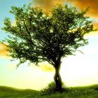 Chủ đề chụp ảnh tốt nhất biểu tượng