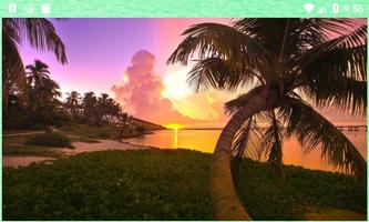 Sunset Wallpapers Screenshot 1