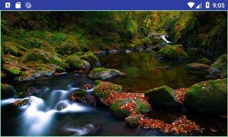 برنامه‌نما Stream Photography عکس از صفحه