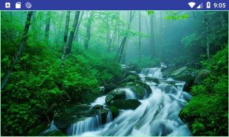 برنامه‌نما Stream Photography عکس از صفحه