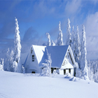 Winter Wallpapers আইকন