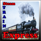 Train Express Game icône