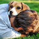 Dog with Boy Theme Wallpapers APK