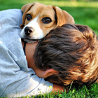 Dog with Boy Theme Wallpapers icon