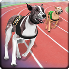 ikon anjing balap greyhound derby