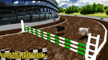 Greyhound Dog Racing Cartaz