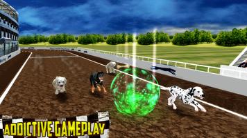 anjing balap greyhound derby screenshot 1