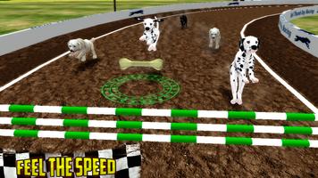anjing balap greyhound derby screenshot 2