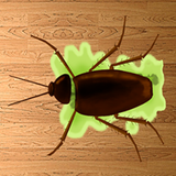 Crush cheap and ant free icon