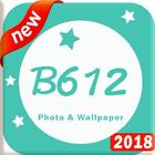 B6I2-HD Photo Zeichen