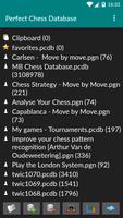 Perfect Chess Database Demo постер
