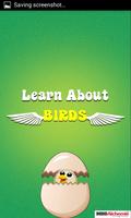 Learn Birds Name-poster