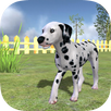 Play with your Dog: Dalmatian APK