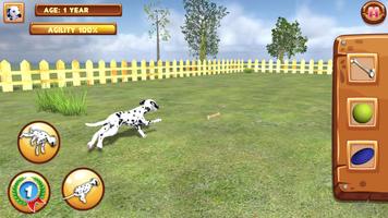 Play with your Dog: Dalmatian Affiche