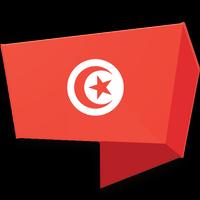 TUNISIA REPLAY HD 스크린샷 3