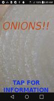 Onion OUTRAGE! Affiche